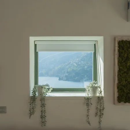 Apartman The Nest By By Rent *